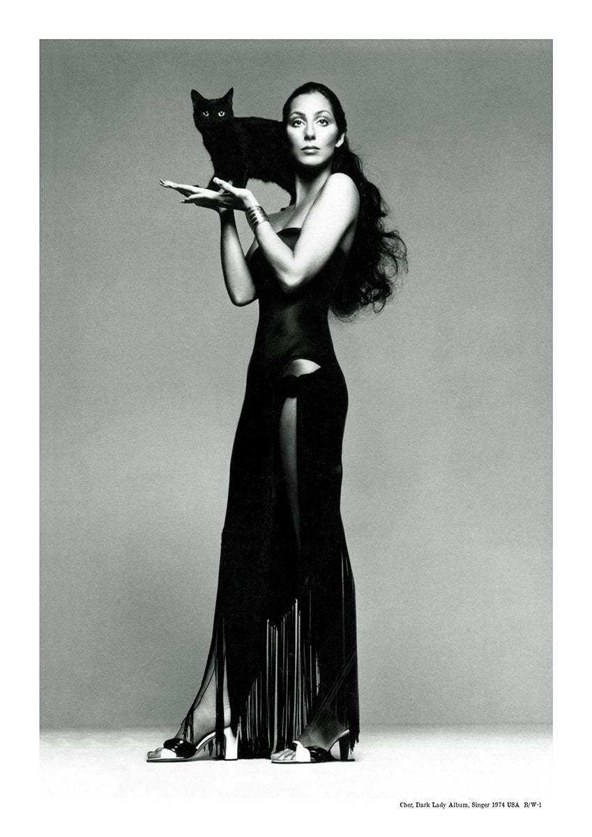 Cher, Dark Lady Album, Singer 1974 | USA