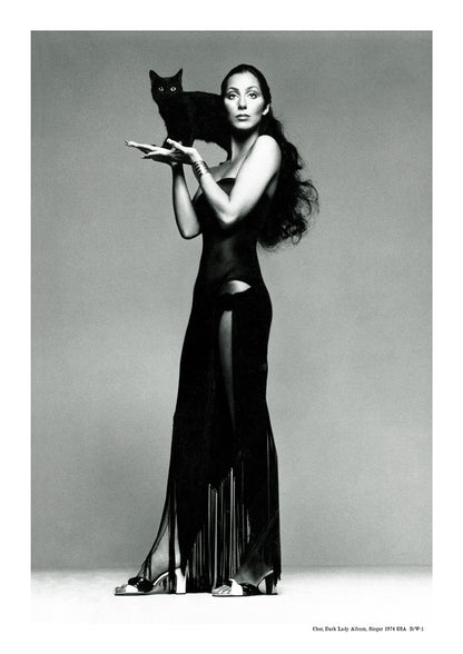 Cher, Dark Lady Album, Singer 1974 | USA