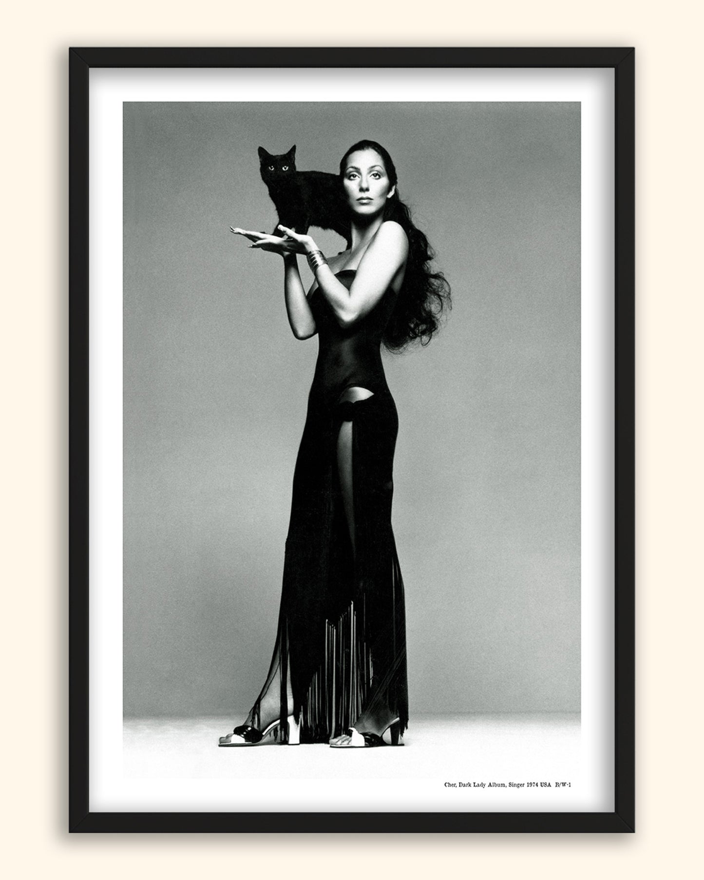 Cher, Dark Lady Album, Singer 1974 | USA