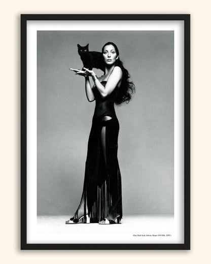Cher, Dark Lady Album, Singer 1974 | USA