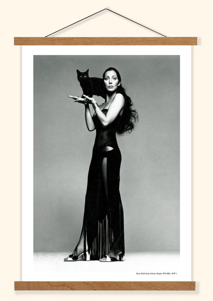Cher, Dark Lady Album, Singer 1974 | USA