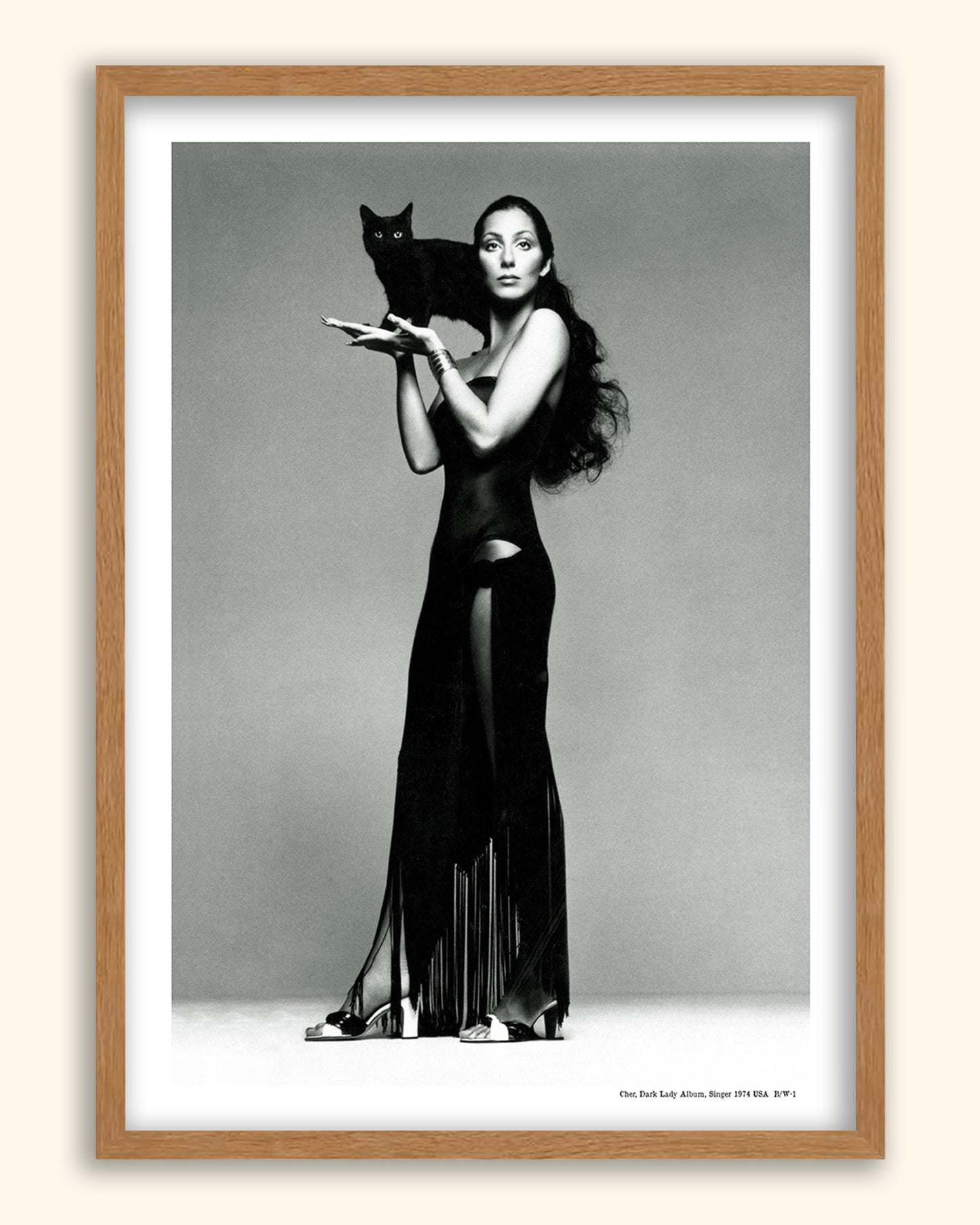 Cher, Dark Lady Album, Singer 1974 | USA