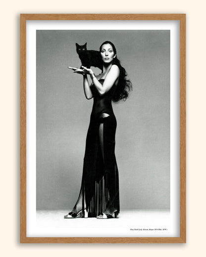 Cher, Dark Lady Album, Singer 1974 | USA