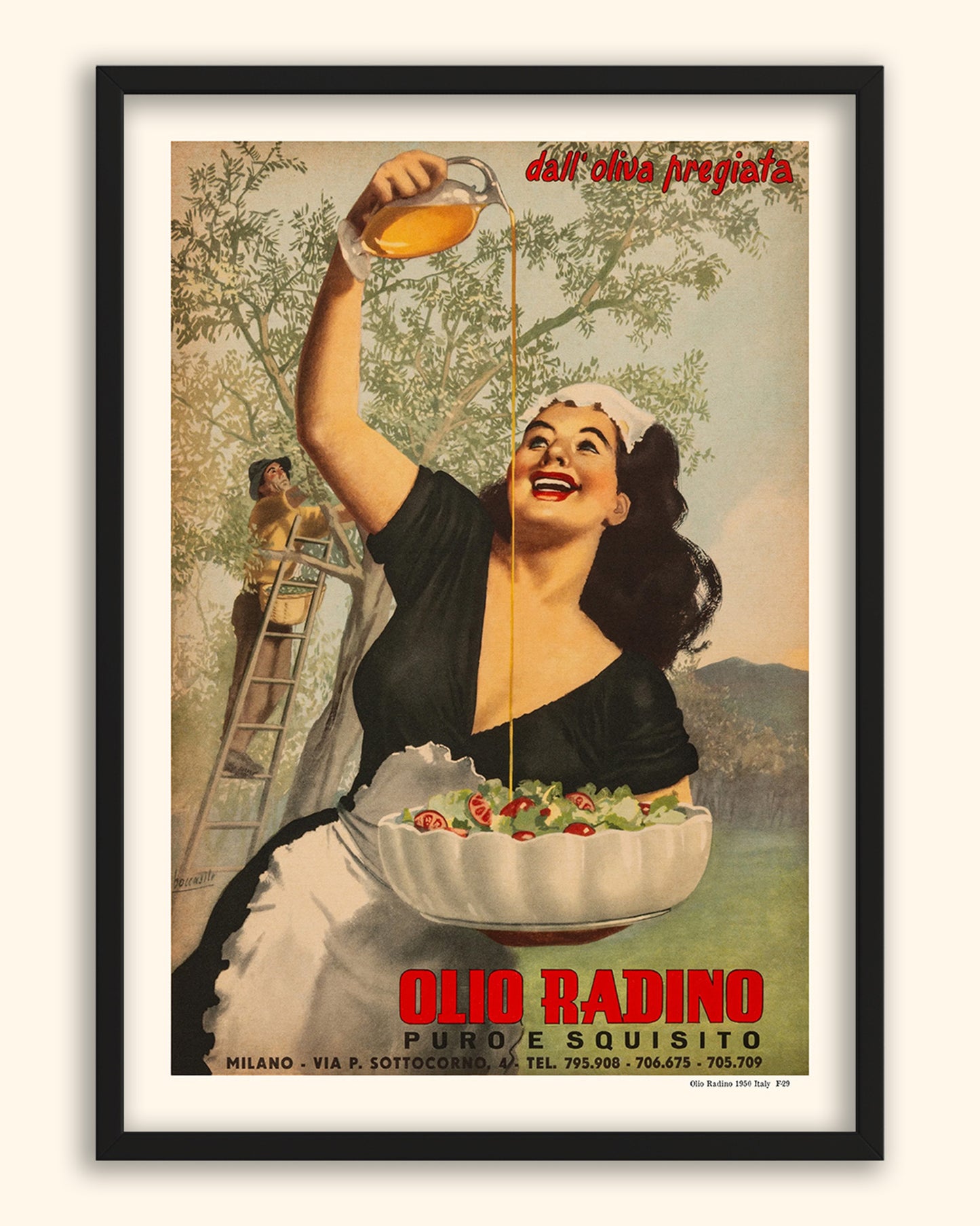 Olio Radino 1950 | Italy